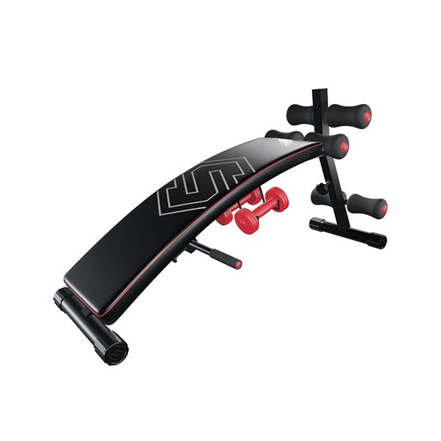 STINGRAY ABS BENCH WITH DUMBELLS