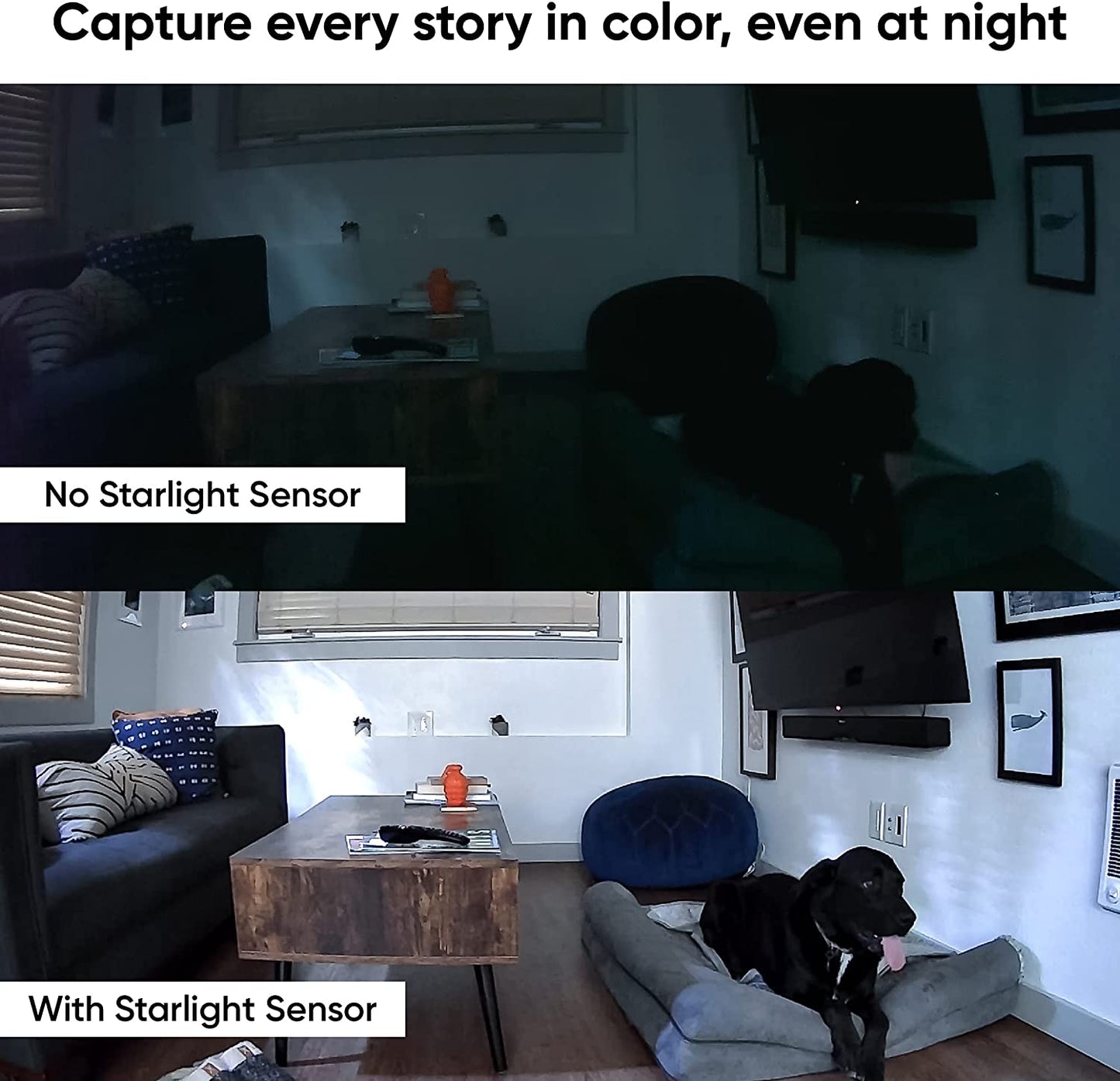 WYZE Cam 360° Pet Camera with Phone APP 2.4GHz WiFi Plug-in PTZ Indoor Smart Security Camera for Dogs Cats Baby Elderly Monitoring, Works with Alexa