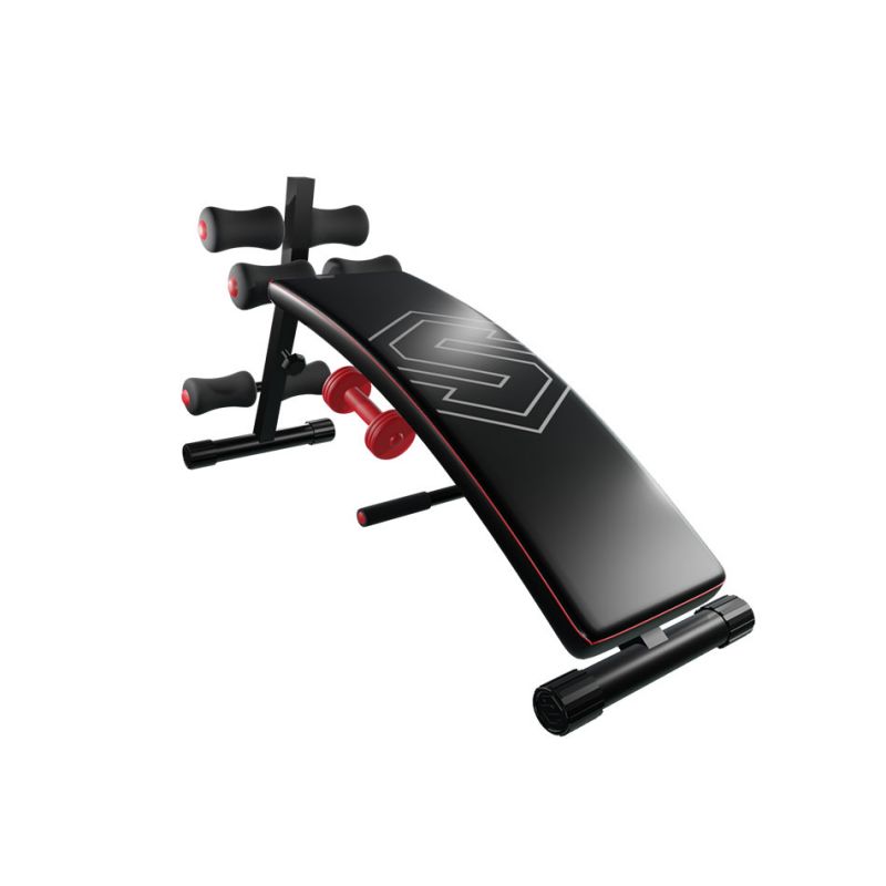 STINGRAY ABS BENCH WITH DUMBELLS